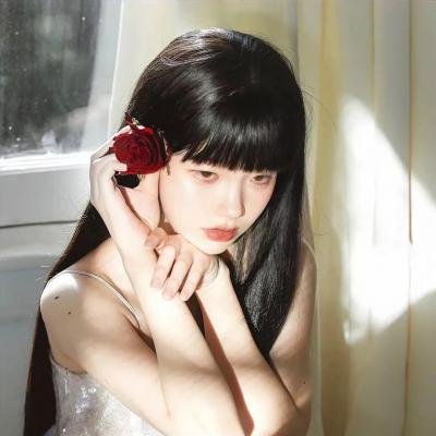 提姆的维美尔